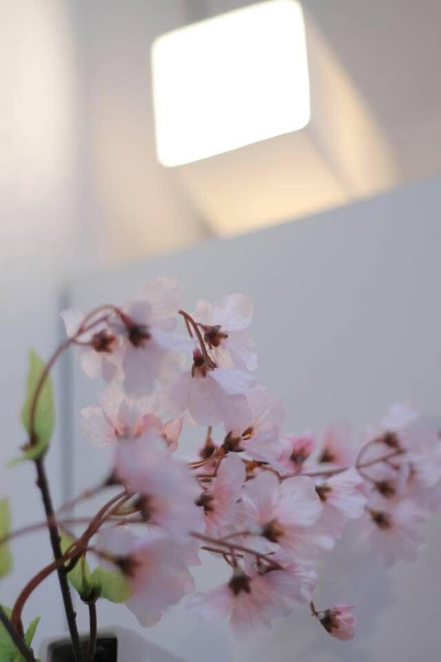 Bhotel Ball Park - Newlybuild 2 Bedrm Apt 2 Mins Baseball Museum 4Ppl Hiroshima Exteriör bild